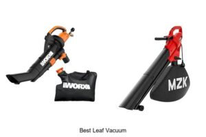 Top 15 Best Leaf Vacuum for Effortless Cleanup