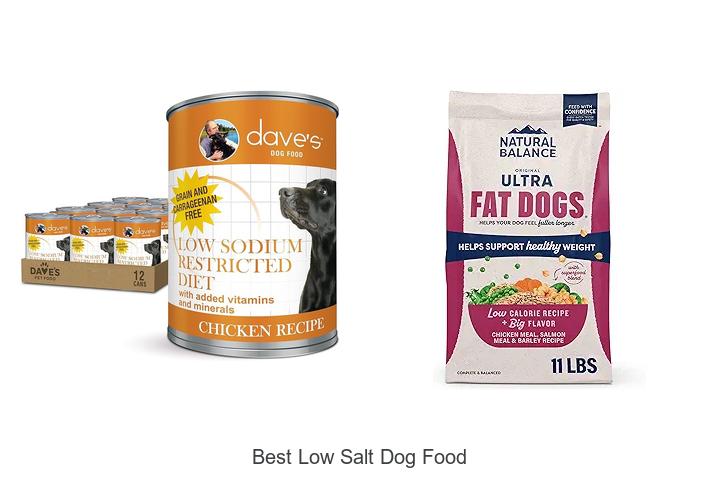 Top 15 Best Low Salt Dog Food You Can’t Miss