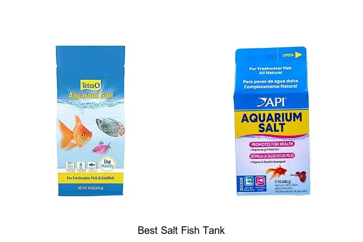 Top 15 Best Salt Fish Tank To Transform Your Aquarium