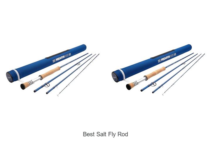 Top 15 Best Salt Fly Rods You Can’t Miss Today