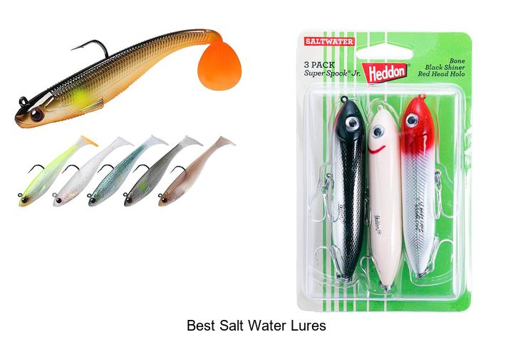 Top 15 Best Salt Water Lures You Can’t Miss