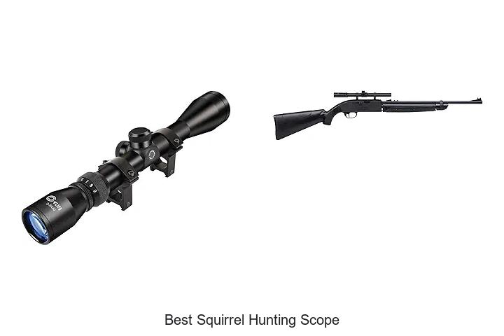 Top 12 Best Squirrel Hunting Scope for Perfect Shots