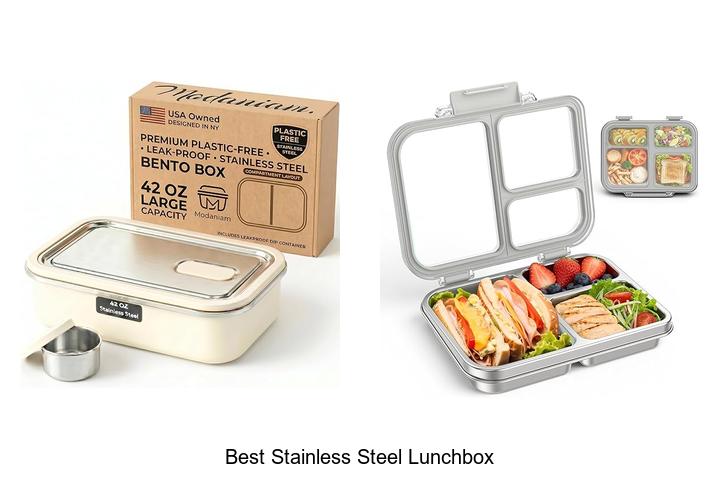 Top 15 Best Stainless Steel Lunchbox for Perfect Meals