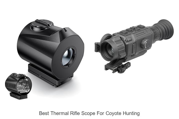 Top 12 Best Thermal Rifle Scope For Coyote Hunting You Must See