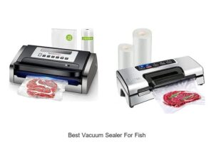 Top 15 Best Vacuum Sealer For Fish You Must See!