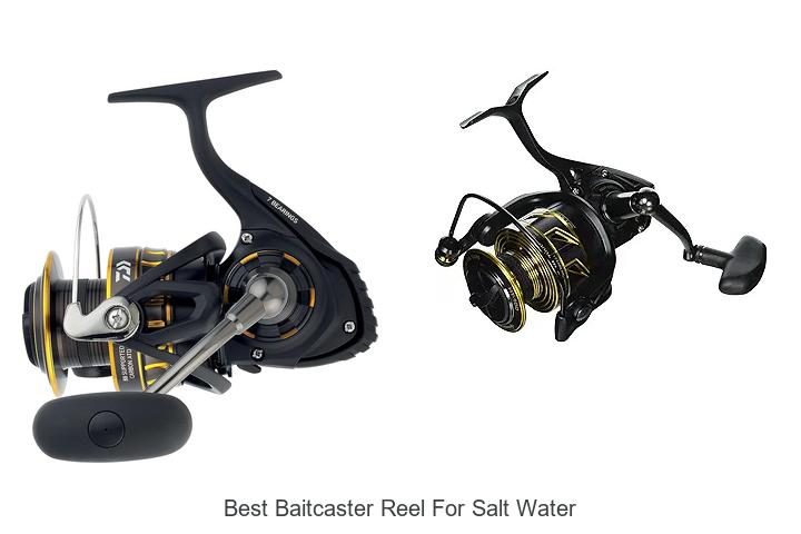 Top 12 Best Baitcaster Reel For Salt Water You Must See