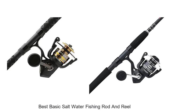 Top 12 Best Basic Salt Water Fishing Rod And Reel You Must See
