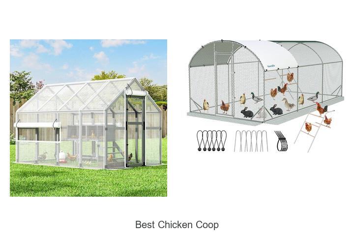 Top 12 Best Chicken Coop Ideas You Must See Now