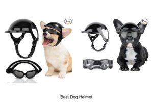 Top 15 Best Dog Helmet You Must See Today!