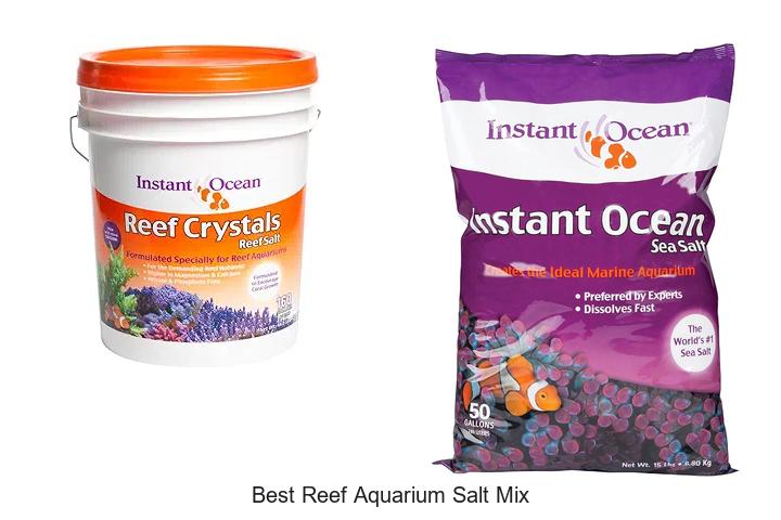 Top 12 Best Reef Aquarium Salt Mix for Vibrant Coral Growth