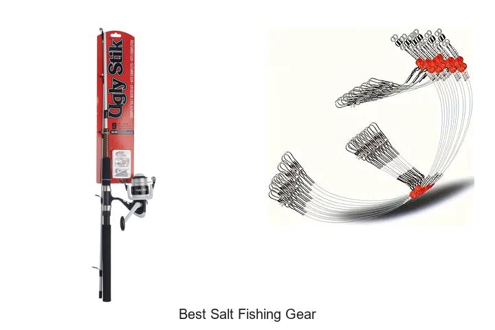 Top 12 Best Salt Fishing Gear You Can’t Miss Today!