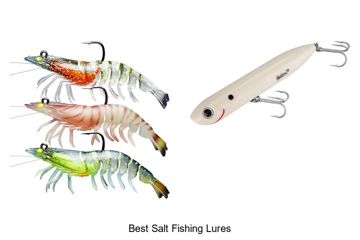 Top 12 Best Salt Fishing Lures That Catch Giant Fish!