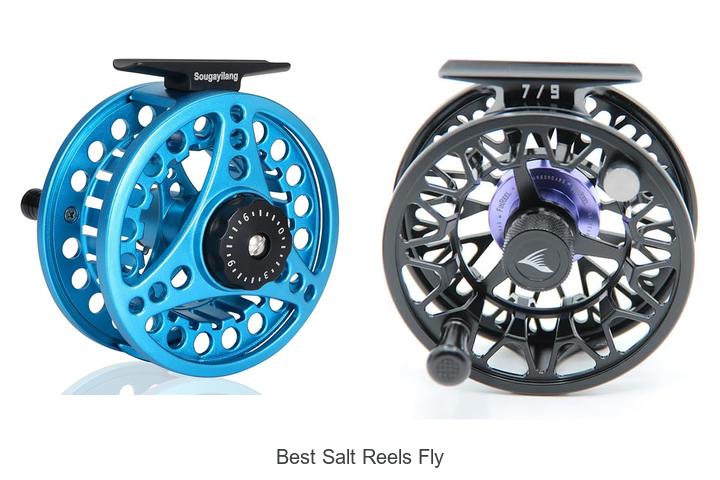 Top 12 Best Salt Reels Fly for Ultimate Fishing Success