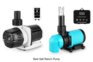 Top 12 Best Salt Return Pump For Aquarium Success