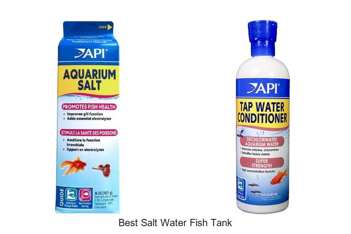 Top 12 Best Salt Water Fish Tank Ideas You Can’t Miss!