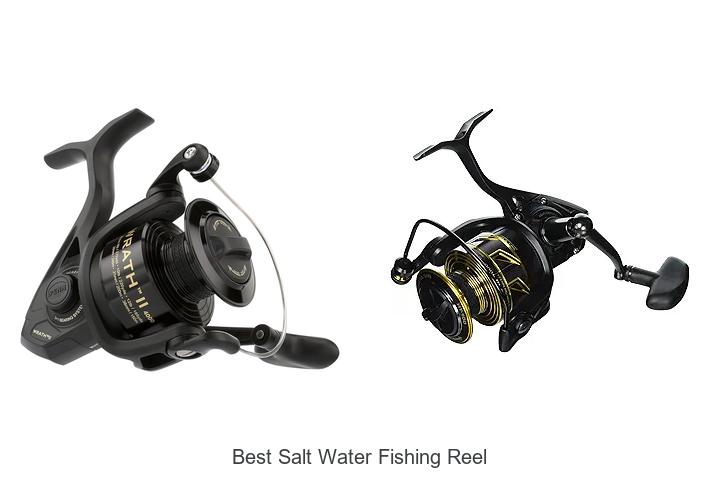 Top 12 Best Salt Water Fishing Reel You’ll Love