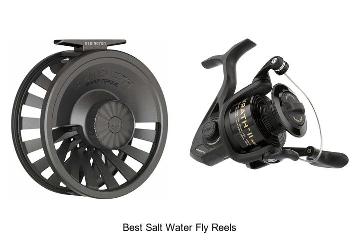 Top 12 Best Salt Water Fly Reels That Will Blow Your Mind