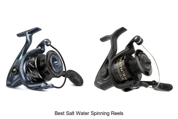 Top 12 Best Salt Water Spinning Reels You Can’t Miss!
