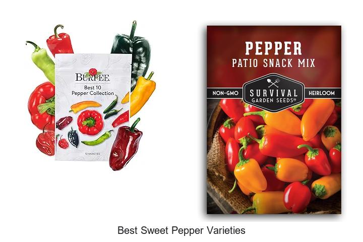 Top 12 Best Sweet Pepper Varieties You Must Grow Today