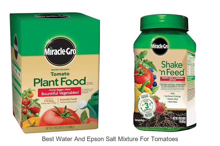 Top 12 Best Water And Epson Salt Mixture For Tomatoes